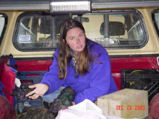 christmas02e.jpg