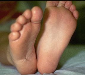 foot1.jpg